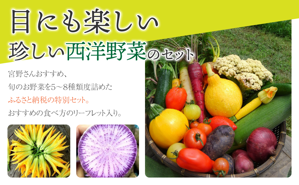 【アグロノーム】季節のお野菜セット（２~３人様向け）