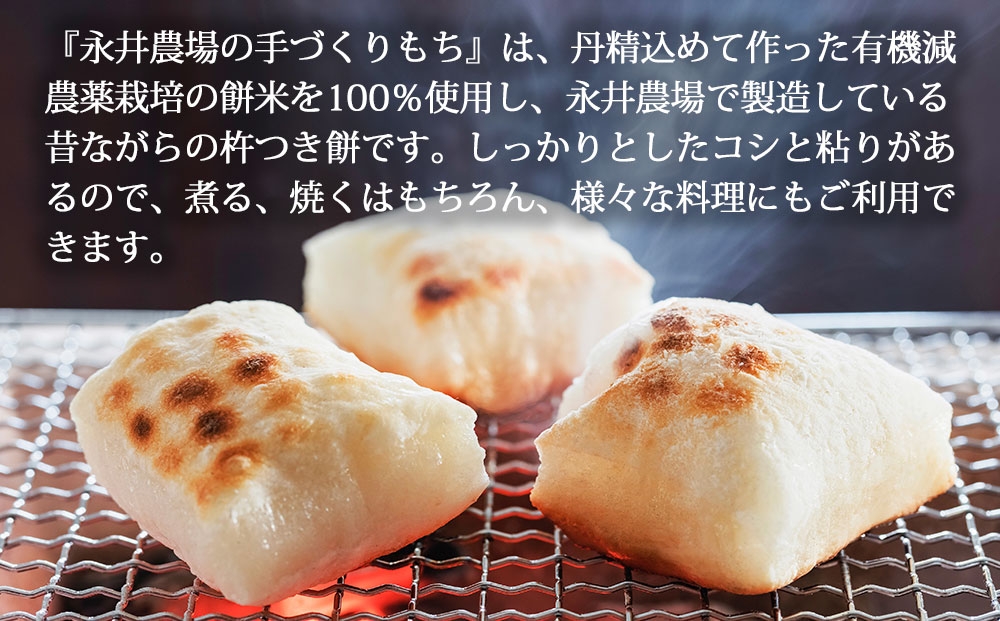 永井農場の手づくり餅　詰め合わせB｜白のし餅、うる入豆餅、切り餅（玄米餅・豆餅・のり餅・きび餅・くるみ餅）