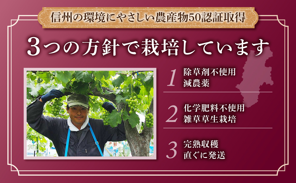 【東御こもだ果樹園】ぶどう農家の完熟巨峰100％ジュース 2024（720ml）1本/贈答化粧箱入り