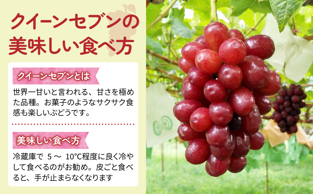 【東御こもだ果樹園】家庭用旬の４種のぶどう２回頒布会（シャインマスカット、ナガノパープル、クイーンセブン、クイーンニーナ）各回２kg