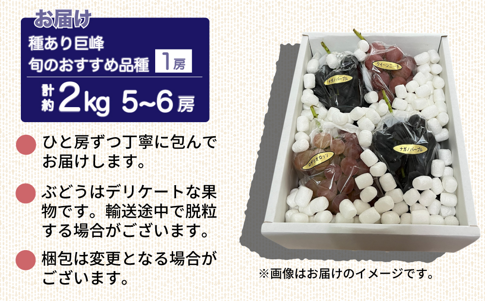 【先行受付2026年発送】種あり巨峰と旬のおすすめ品種（１房） 計5〜6房 （約2kg）｜秀果園　※2026年9月上旬～10月下旬順次発送