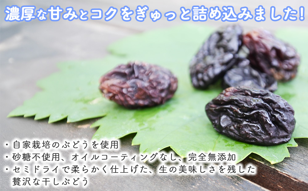 【秀果園】ぶどう農家のセミドライぶどうミックス500g ×1袋｜巨峰、シャインマスカット、ナガノパープルなど