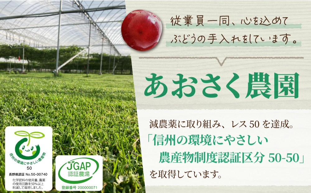 【あおさく農園】2種の種なしぶどうセット（クイーンセブン・種なし巨峰）合計5房セット　※2025年9月中旬以降発送予定｜農薬削減