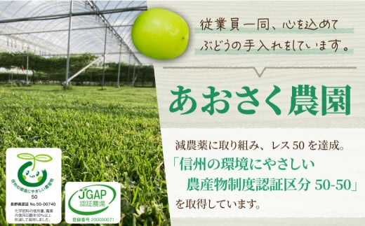 【あおさく農園】2種の種なしぶどうセット（クイーンセブン・シャインマスカット）合計5房セット　※2025年9月中旬以降発送予定｜農薬削減