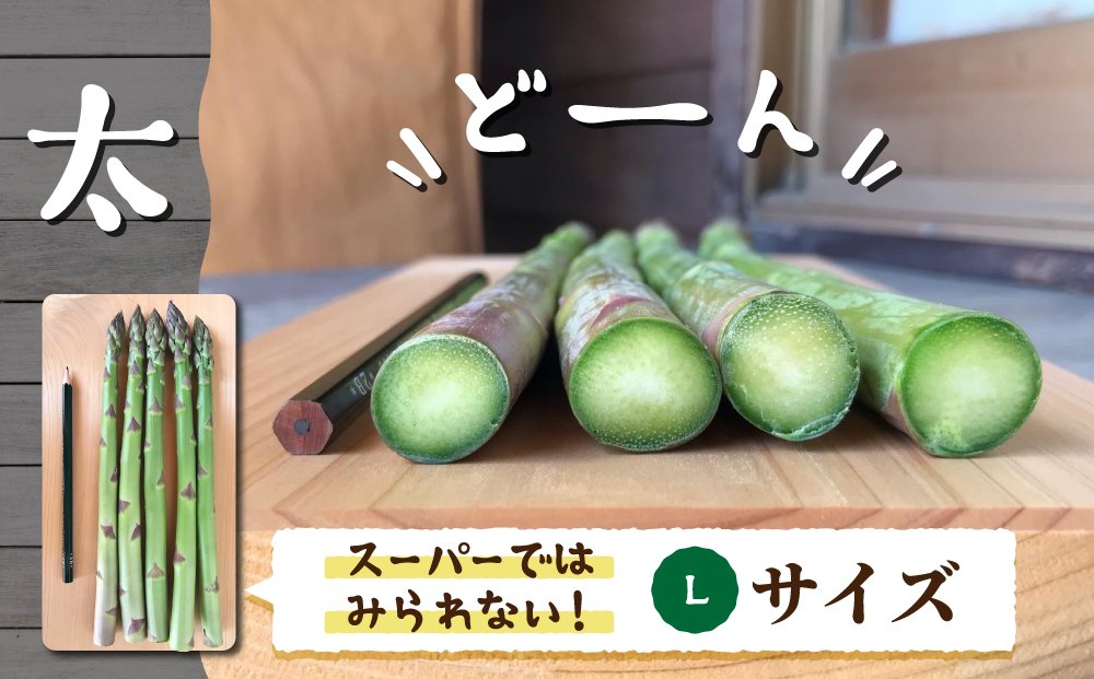 先行予約2025年発送【のららぼ農園】農家直送！新鮮！春獲れ太（L）アスパラ1kg（おおよそ30?40本）※2025年3月下旬?5月下旬発送予定