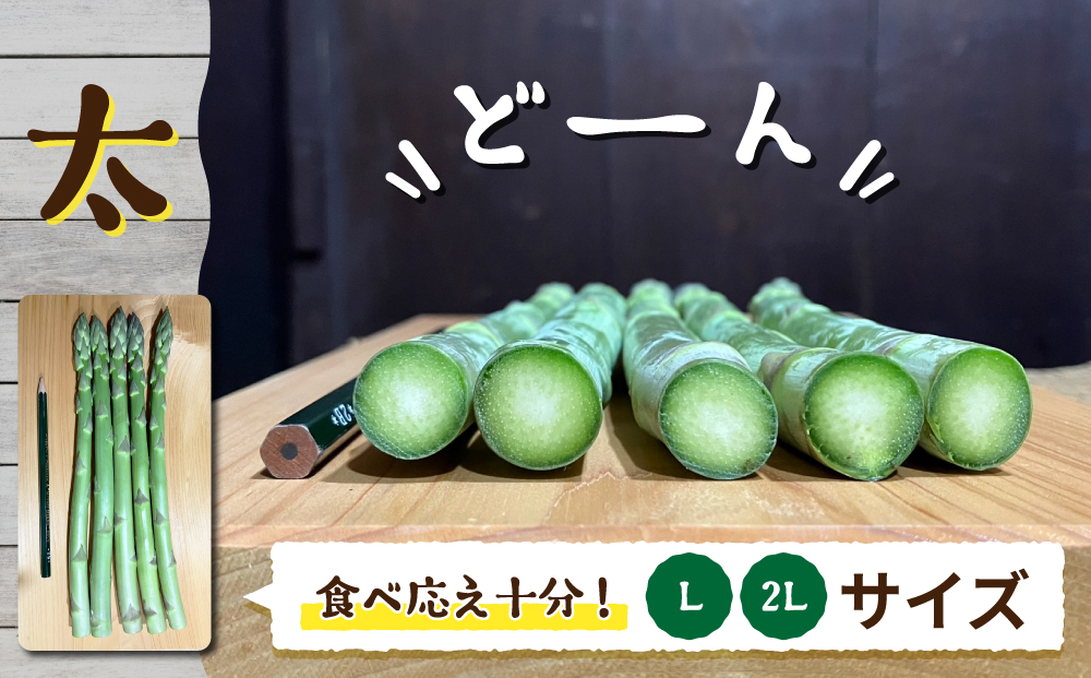 先行予約2025年発送【のららぼ農園】農家直送！新鮮！夏獲れ太（L～2L）アスパラ1kg（およそ25～35本）※2025年7月上旬～9月上旬発送予定