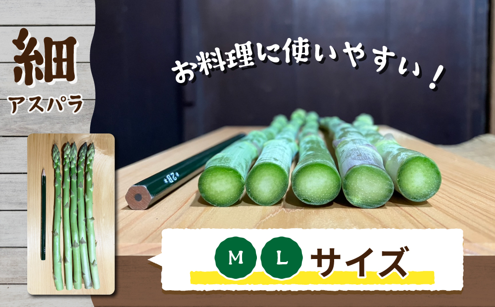 【先行受付2026年発送】農家直送！新鮮！夏獲れ細（M～L）アスパラ約1.2kg（およそ40～60本）｜のららぼ農園 ※2026年7月上旬～9月中旬発送予定