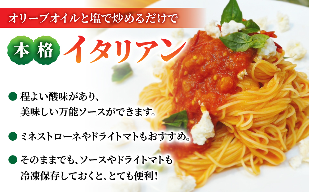 【おぎはら園】農家直送！朝採れイタリアンミニトマト「サンマルツァーノリゼルバ」約2kg