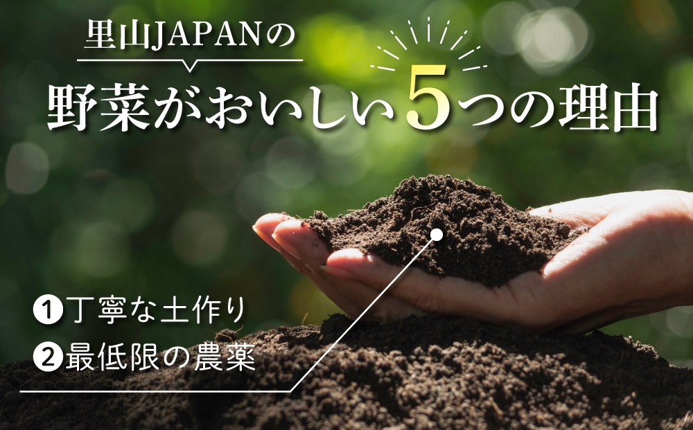 【先行受付2026年（令和8年）発送】長野県産！生きた土壌で育った『グリーンアスパラ＆ブロッコリーセット』｜【里山JAPAN】2026年6月中に発送予定
