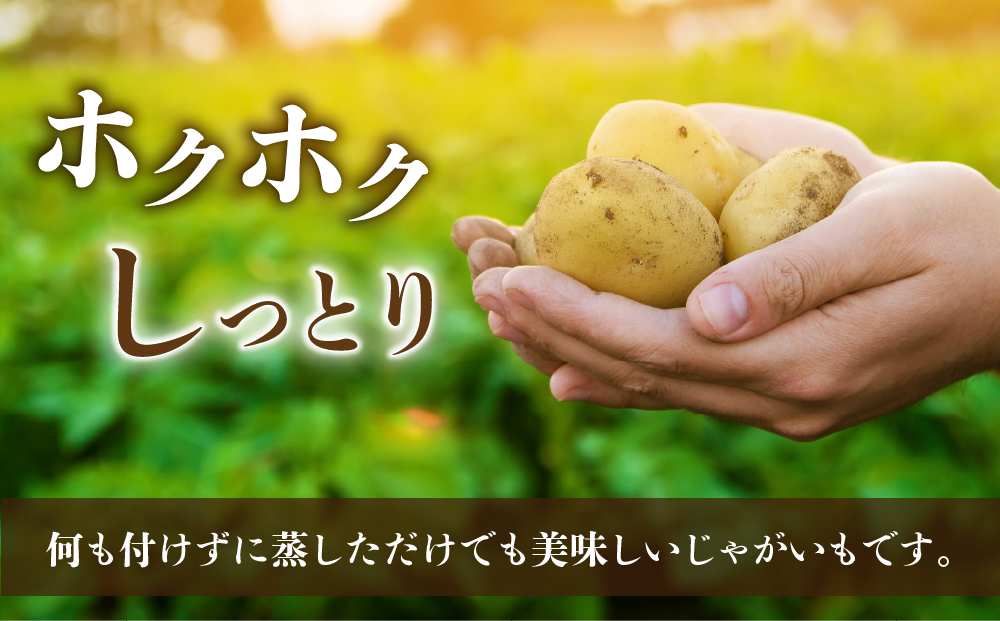先行受付【里山JAPAN】長野県産新じゃがいも 生きた土壌で育った『白土馬鈴薯5kg』｜2025年7月～8月発送予定