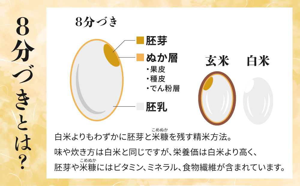【里山JAPAN】長野県産！生きた土壌で育った御牧原米こしひかり 白米（八分づき・令和7年産）　5kg｜2025年10月上旬以降に発送予定