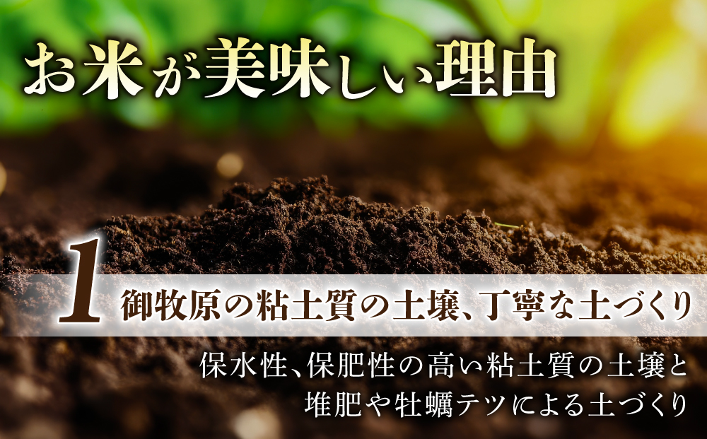 【里山JAPAN】長野県産！生きた土壌で育った御牧原米こしひかり 玄米（令和7年産）　10kg（5kg×2袋）｜2025年10月上旬以降に発送予定