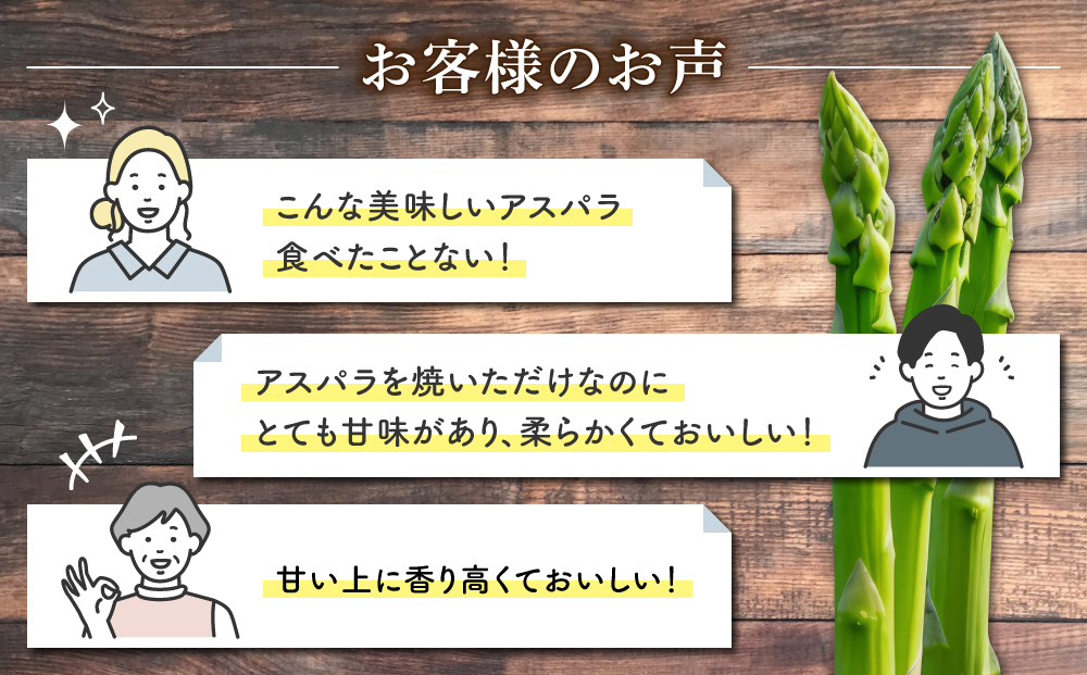 先行受付【里山JAPAN】甘くて柔らか 生きた土壌で育った『春のグリーンアスパラ』1kg｜長野県 ※2026年春発送