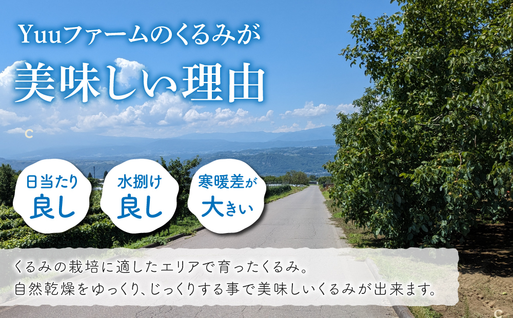 2025年産 長野県東御市産 信濃くるみ 500g（品種 清香）