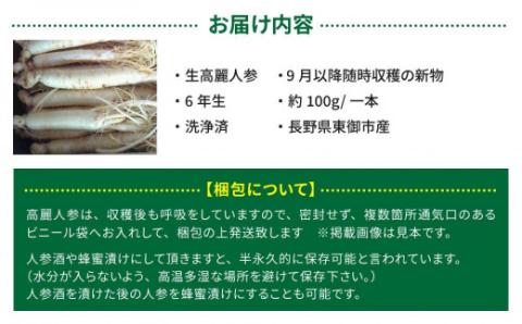 【先行予約2024年発送】栽培期間中出来るだけ農薬を減らして作った生高麗人参 6年生 約100ｇ（2024年9月?10月お届け予定）