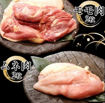 とうみの「農」頒布会（7回コース）