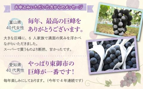 東御市産種あり巨峰約2kg【秋お届け】