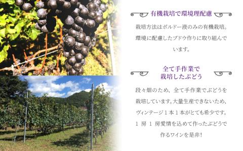 東御市産赤ワイン HIRO 2021