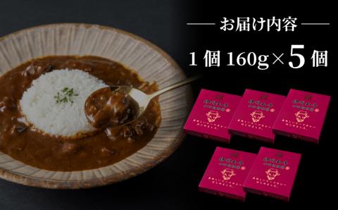 小田切牧場 信州和牛カレー５個セット（１個1人前160g）