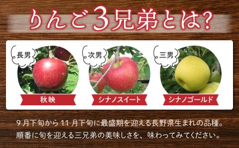 東御市産りんご長野県オリジナル品種「秋映」3kg ※9月下旬～10月上旬ごろお届け予定