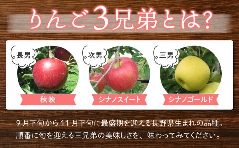 東御市産りんご長野県オリジナル品種「シナノスイート」3kg ※10月中旬～11月上旬ごろお届け予定