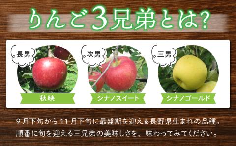 東御市産りんご長野県オリジナル品種「シナノゴールド」3kg ※10月下旬～11月下旬ごろお届け予定
