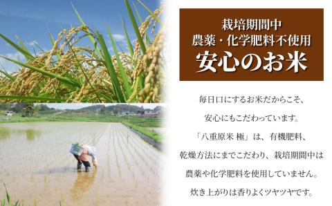 【太陽と大地】八重原産コシヒカリ白米「極」（栽培期間中農薬化学肥料不使用）1kg