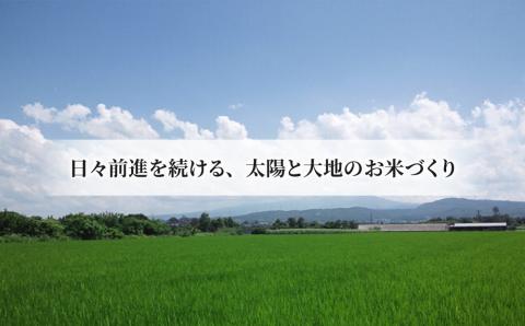 【太陽と大地】令和7年産「八重原産特別栽培米（減農薬・減化学肥料栽培）コシヒカリ（白米）２kg」と「信州味噌「八重原味噌」５００ｇ」セット※2025年10月中旬以降発送