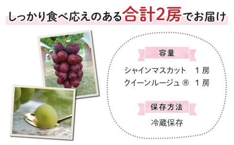 【2025年発送】東御市産クイーンルージュ(R)＆シャインマスカットのセット ※9月中旬?10月中旬頃発送
