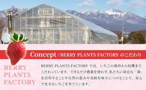【BERRY PLANTS FACTORY】大粒いちご！「さちのか」