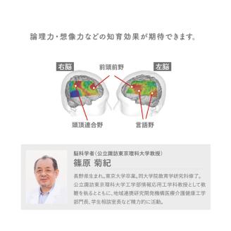 ダイヤブロック　OKOMEIRO（オコメイロ） L
