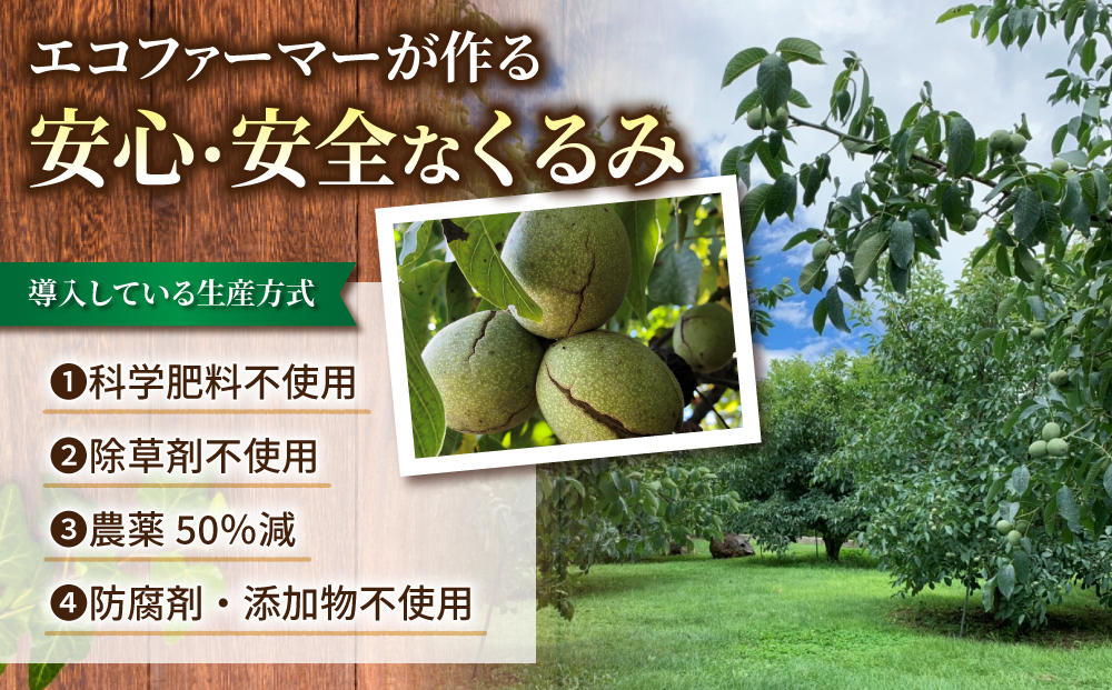 【アルファーム】令和7年産 信濃くるみ　剥きタイプ（300g）※150g×2袋 ※2025年11月下旬以降発送