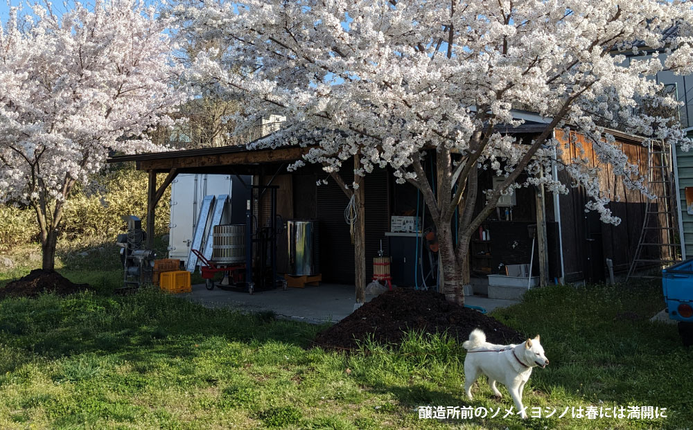 【アトリエデュヴァン】赤ワイン（ピノ・ノワール、メルロー）2018ヴィンテージセット、合計2本