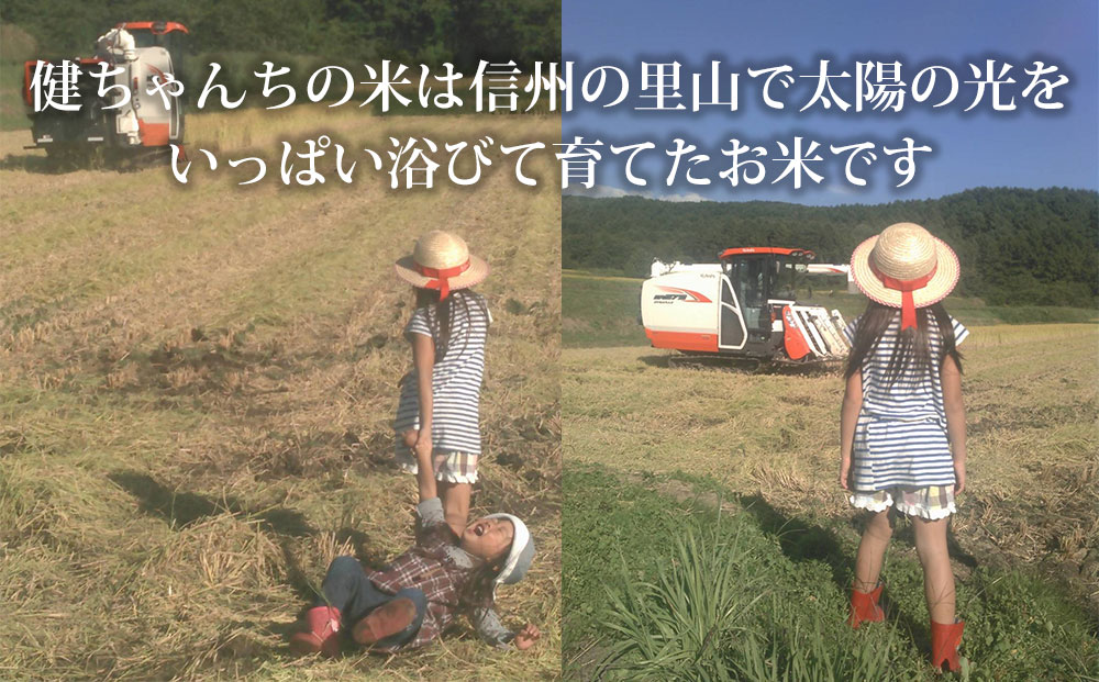 コシヒカリ白米10kg（5kg×2袋） 米・食味鑑定分析コンクール特別優秀賞受賞！冷めても美味しい健ちゃんちの米｜ライスファーム小林