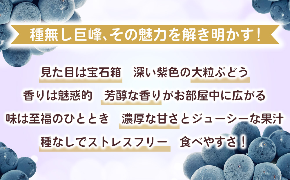 【先行受付2026年発送】わけあり2種のぶどうセット（シャインマスカット、種無し巨峰）各１房 、合計2房（900g以上）　｜清水農園 ※2026年9月中旬以降発送予定※月曜日、金曜日の発送はお休み