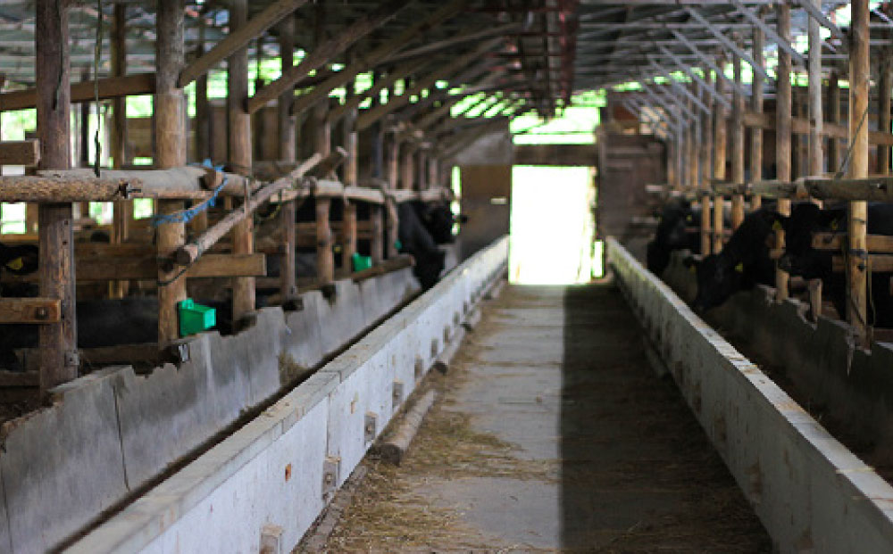 【牧舎みねむら】ビーフジャーキー　35g×5個セット