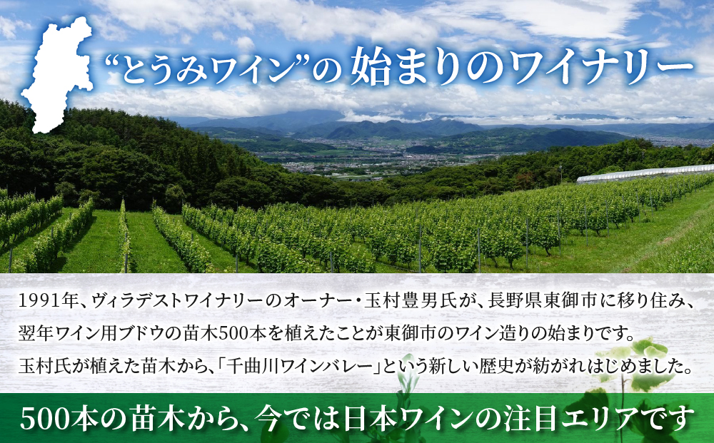 【ヴィラデストワイナリー】赤白ワイン2本セット