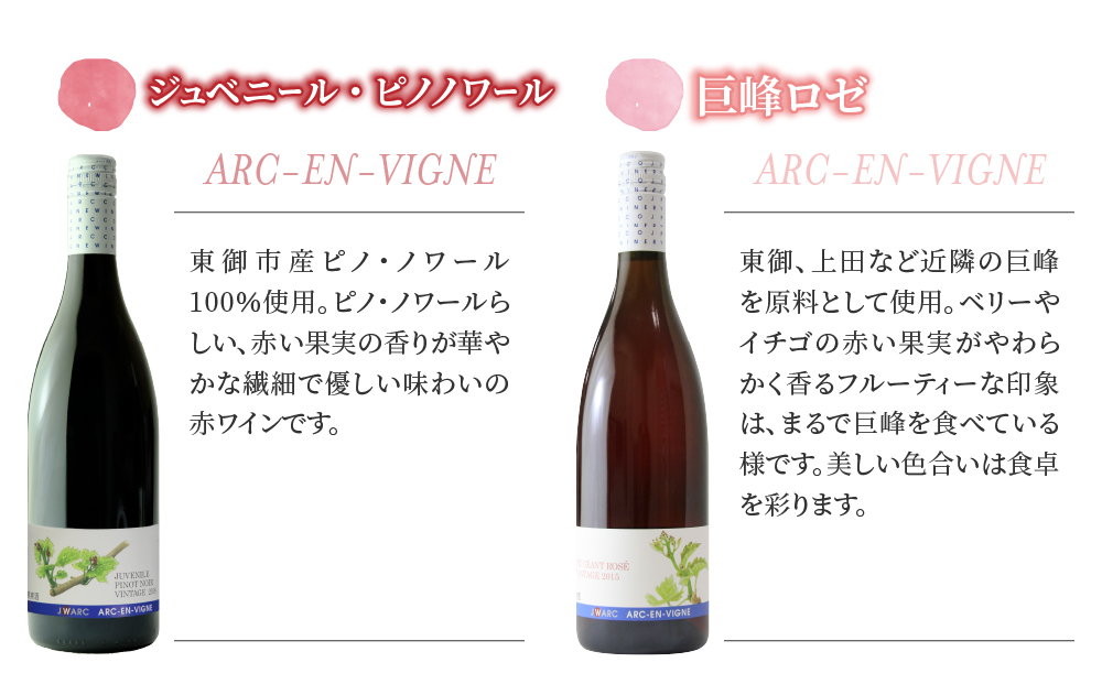 【アルカンヴィーニュ】赤・ロゼワイン　飲み比べ６種６本セット