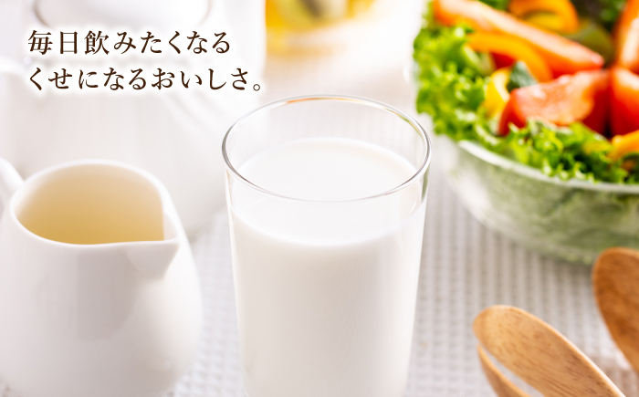 アトリエ・ド・フロマージュのお試しセット チーズ ピザ 飲むヨーグルト マルゲリータ プレーン クワトロ カマンベール ブルーチーズ 信州 長野