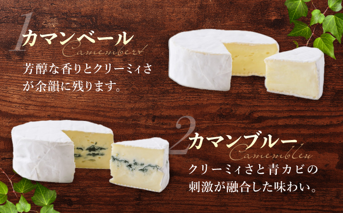 （2026年2月以降配送予定）アトリエ・ド・フロマージュ 5種のチーズ 食べ比べセット