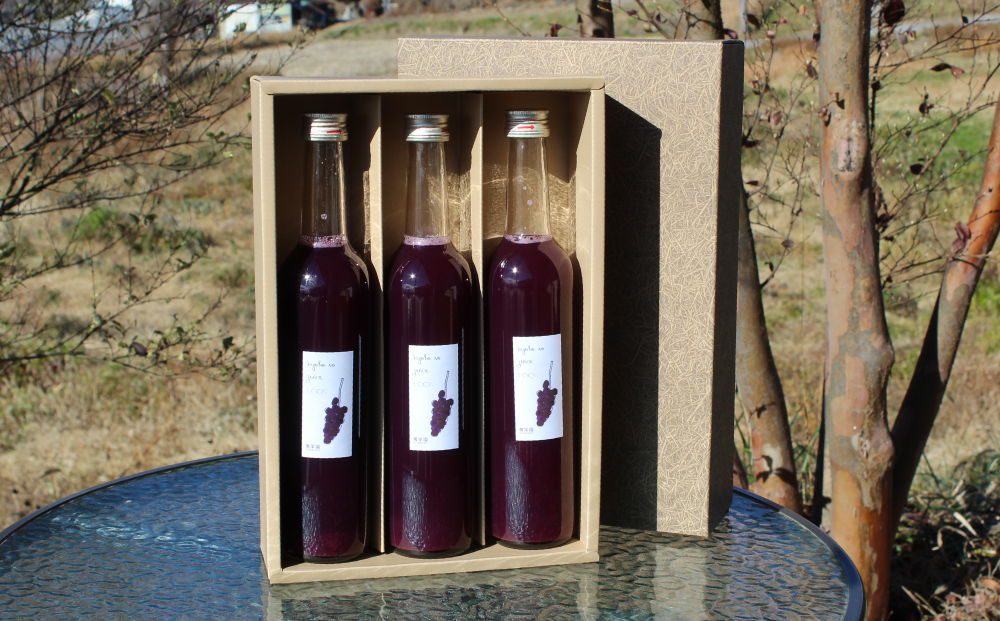 巨峰ジュース3本セット