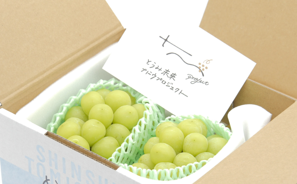 【先行予約】東御市産シャインマスカット＆ナガノパープル ※8月下旬?9月下旬頃発送 | 長野県 長野 人気 ぶどう 贈答用 ギフト 2房 フルーツ 果物 おすすめ 厳選 種無し 皮ごと 大粒 食べ比べ