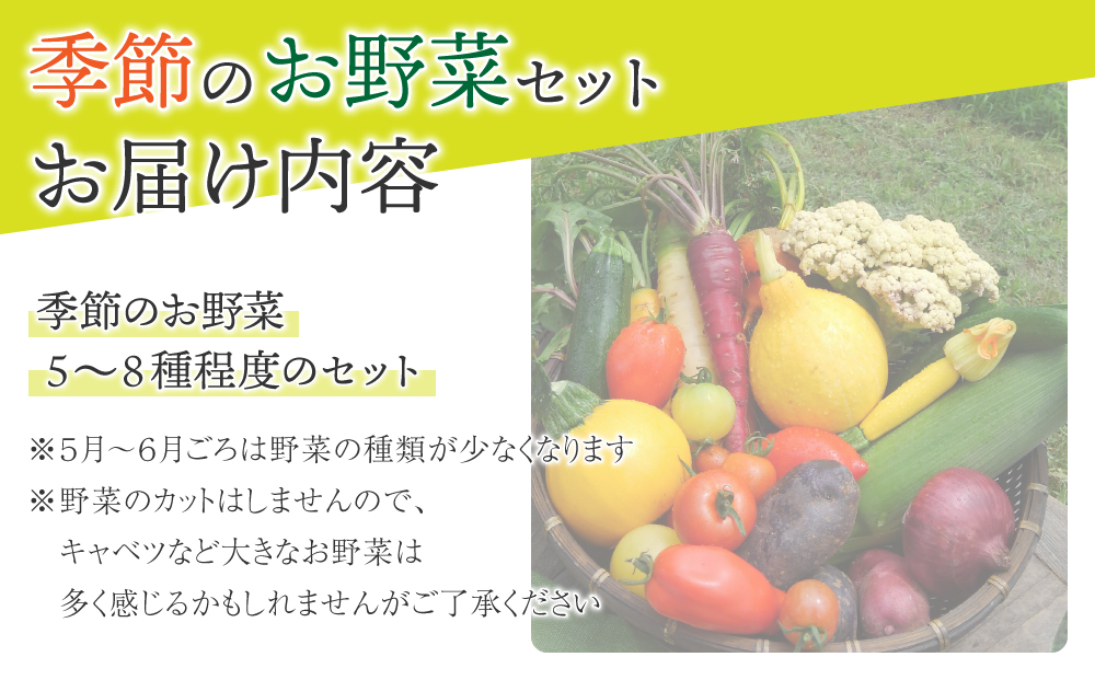 【アグロノーム】季節のお野菜セット（２~３人様向け）