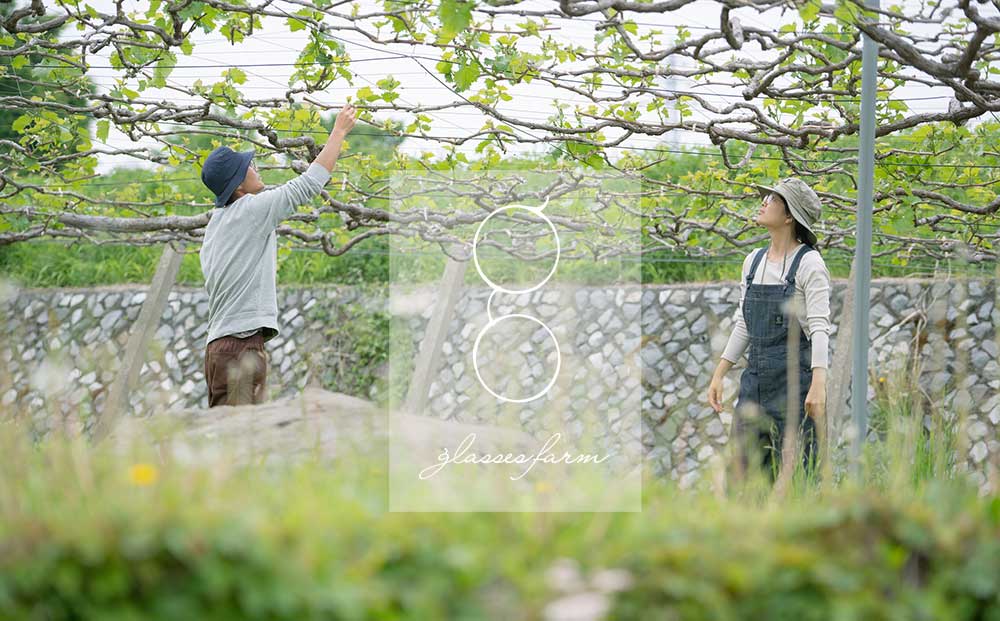 先行受付2025年発送【glasses farm】完熟ぶどうの贈り物（シャインマスカット2房）※2025年9月中旬~10月末頃発送予定