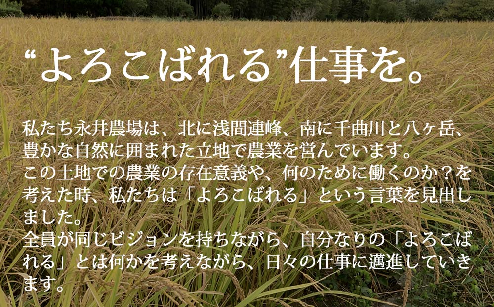 永井農場の手づくり餅　詰め合わせA｜白のし餅、うる入豆餅、切り餅（玄米餅・豆餅・のり餅・きび餅・くるみ餅）