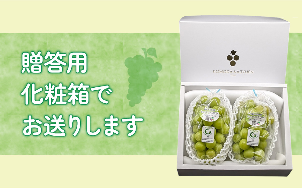 【先行受付2025年発送】シャインマスカット2房 贈答化粧箱入（計900g以上）農薬節減長野県認証｜東御こもだ果樹園　※2025年9月下旬~10月下旬に発送予定