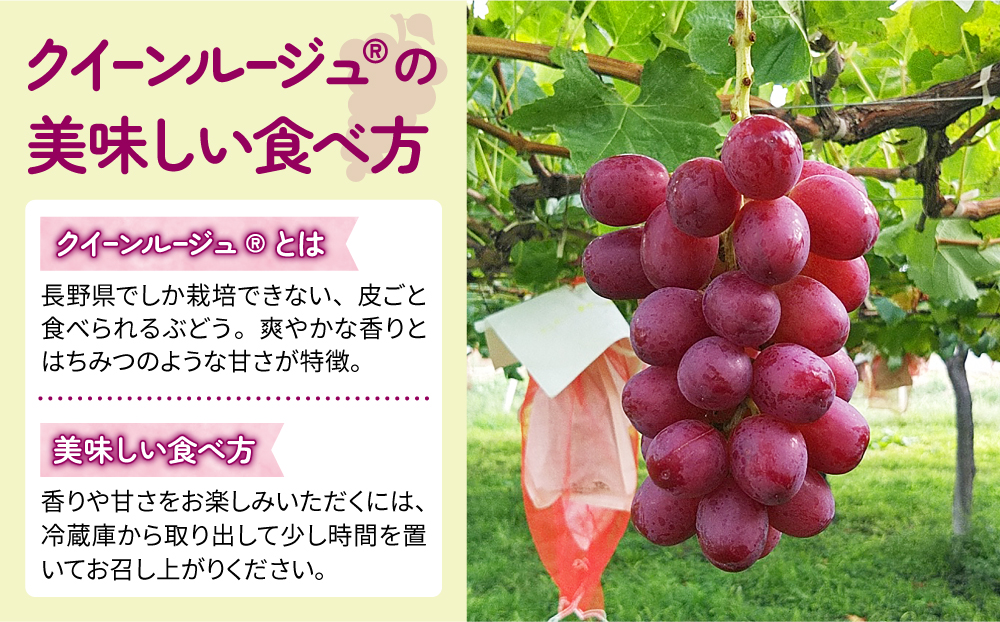 【東御こもだ果樹園】家庭用旬の３種のぶどう３回頒布会（シャインマスカット、ナガノパープル、クイーンルージュ??）各回２kg