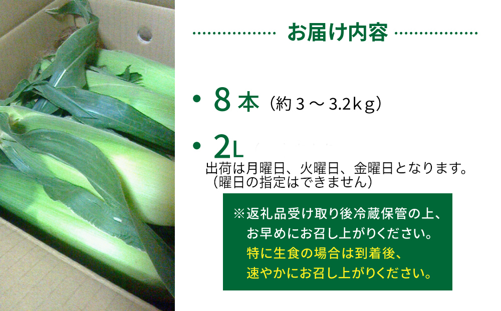 生とうもろこし 2L 8本 有機肥料使用のスイートコーン！ 長野県東御市産 ※7月中旬から順次発送予定※発送曜日指定不可