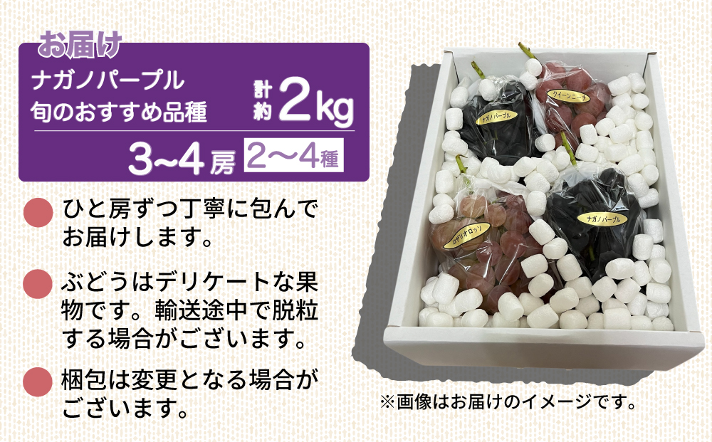 【先行受付2026年発送】ナガノパープルと旬のおすすめ2〜4種セット（合計3～4房、約2kg）｜秀果園　※2026年9月下旬以降発送予定