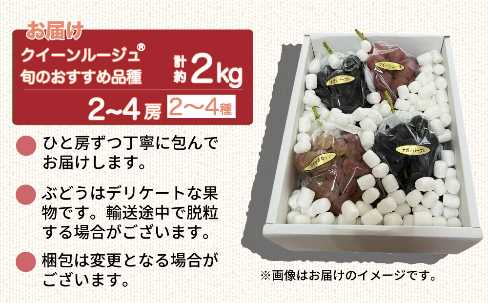 【先行受付2026年発送】クイーンルージュ（R)と旬のおすすめ2〜4種セット（合計3～4房、約2kg）｜秀果園　※2026年9月中旬以降発送予定